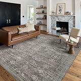 Rugxara Area Rugs 5x7 Washable Rug for Living Room Bedroom Dorm, Taupe/Grey