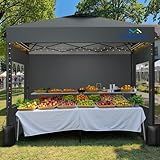 10X10 Pop Up Canopy Tent with 3 Sidewalls,Easy Up Canopy,Commercial Instant Shelter,Heavy Duty One Person Set Up Event Tent,Gray