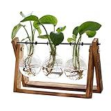 XXXFLOWER Plant Terrarium with Wooden Stand, Air Planter Bulb Glass Vase Metal Swivel Holder Retro Tabletop for Hydroponics Home Garden Office Decoration - 3 Bulb Vase