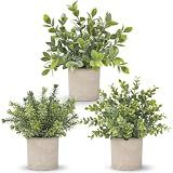 Der Rose 3 Pack Fake Plants Artificial Plants for Office Bathroom Decor