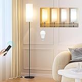 Ambimall Floor Lamps for Living Room, 64" Modern Floor Lamp with Remote Control and Stepless Dimmable Colors Temperature & Brightness, Standing Lamps for Living Room Bedroom Office, 9W Bulb Included
