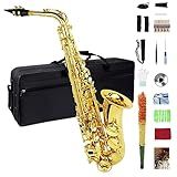 Eb Alto Saxophone - Beginner to Professional, Gold Finish, Adult Size