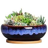 SQOWL 7 Inch Round Ceramic Succulent Planter Pot Drip Glazed Shallow Planter with Drainage Bamboo Tray for Indoor Plants