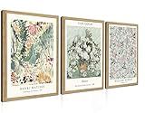 Induslyfe Framed Sage Green Vintage Wall Art Canvas Decor Set of 3, Matisse Wall Art Prints Posters Mid Century Modern Art, Van Gogh Floral Botanical wall art, bathroom, bedroom, living room 12x16
