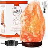 The Body Source Himalayan Salt Lamp | 8-10 in (7-11 lb) | Natural Salt Rock Lamp with Dimmer Switch & Wooden Base | Night Light & Bulb Replacement