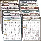 gisgfim 12PCS Workout Posters for Home Gym Dumbbells, Bodyweight, Stretching, Kettlebells, Yoga, Resistance Bands Exercise Chart Muscle Engagement Chart Full Body Workout Poster Set Garage Gym Decor