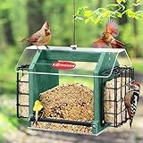 Kingsyard Hopper Bird Feeder for Outdoors Hanging, Recycled Plastic Double Suet Feeder with Clear View Windows, 3 LBS Seed, Cardinal Woodpecker Bluebird Feeder, Green