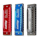 East top Harmonica Set of 3,10 Holes Diatonic Mouth Organ Harmonicas Set with 3 keys, A, C, G key for Adults, Band Player and Students, as Gift