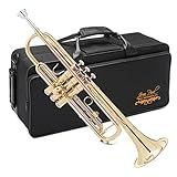 Jean Paul TR-430 Intermediate Bb Trumpet - Brass Lacquered with Rose Brass Leadpipe