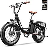 vefreedom Electric Bike for Adults,Fast Ebike,20" x4.0 Fat Tire Commuting Electric Mountain Bike,Step-Thru Bicycle，Cargo e Bike Black