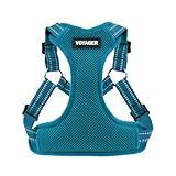 Best Pet Supplies Voyager Adjustable Dog Vest Harness Breathable No Pull Harness for Small, Medium, Large Dogs, Harness for Walking, Jogging, Easy Step-in, Reflective Stripes - Turquoise, M