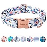 Unique Style Paws Dog Collar With Metal Buckle - Red Rose Flower Gift for Small, Medium, Large Boys Girls Dogs - Durable and Cute