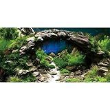 AWERT 48x18 inches Arch Stone Aquarium Background River Bed & Lake Aquarium Vinyl Background Aquatic Plant Fish Tank Background