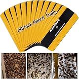 20 Pack Roach Traps, Cockroach Traps Indoor Home, Glue Roach Traps, Child & Pets Safe(Upgrade Recipe)