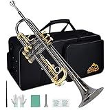 EASTROCK Bb Trumpet Standard Trumpet Set with Carrying Case,Gloves, 7C Mouthpiece, Tuning Rod, Black Nickel,Hand Carved Craft