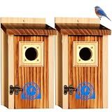 SISTERBIRD 2 Pack Bluebird House, Premium Blue Bird House, Warming Gifts