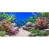 AWERT 30x18 in Aquatic Plant Fish Tank Background Stone Aquarium Backdrop