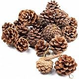 JOHOUSE 18 PCS Hanging Natural Pine Cones (1.5" - 2.5"), Rustic Pinecones