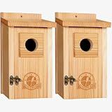 SISTERBIRD 2 Pack Blue Bird Houses for Outdoors, Warming Gifts Bird House