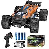 Nikuku Remote Control Car, High Speed All Terrain Off Road Fast RC Cars with 2.4 GHz,1:20 Scale Max 38 KPH 4WD Waterproof Electric RC Truck Toys, Christmas Birthday Gifts for Adults & Teen Boys