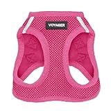 Best Pet Supplies Voyager Step-in Air Harness - All Weather Mesh, Reflective, No Pull Harness for Dogs, Cats - Secure with Hook & Loop Fastener, Buckle, Double D-Rings - Fuchsia, L
