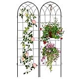 LZRS 2 Pack 71x20in Rustic Iron Arch Decoration Garden Trellis with Black Metal Coating – Perfect for Supporting Climbing Plants Outdoor, Roses, Vines, Flowers, and Vegetables.