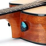 10 Guitar Picks with 1 Guitar Pick Holder