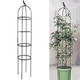 6ft Garden Obelisk Trellis for Climbing Plants-Rustproof Metal Pipe with Heavy Duty Plastic Coated, Garden Outdoor Indoor Potted Plant Support for Clematis Vine Jasmine Support （Black）