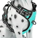 PoyPet No Pull Dog Harness, Reflective Comfortable Vest Harness with Front & Back 2 Leash Attachments and Easy Control Handle Adjustable Soft Padded Pet Vest for Small Medium Large Dogs (Mint Blue,M)