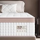 Queen Size Mattress 14 Inch - Premium Hybrid Mattress In a Box for Back & Lumbar Support, 366 Night Trial, Individual Pocket Spring Bed for Fiberglass-Free & Motion Isolation, CertiPUR-US Certified