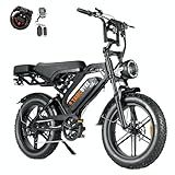 Tamobyke 2000W Fat Tire Electric Bike, 48V18.2Ah Large Battery Delivery Ebike/100+Miles Range,33mph Fast Speed,Bike for Delivery/Cargo/Snow Riding.Steering Light. Safety Certificate.