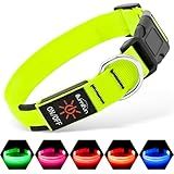 Illumifun LED Dog Collar, Light Up Dog Collar Rechargeable Glow in Dark Pet Collar Safety Dog Lights for Night Walking Camping (Green, Large)