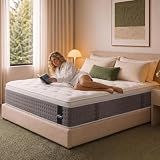 Sektfw Queen Size Mattress 12 Inches Medium Firm Hybrid, Undisturbed Sleep