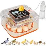 Incubators for Hatching Eggs Automatic Egg Incubator with Temperature Control Humidity Display 12 Egg Capacity for Chicken Duck Goose Eggs Digital Display Auto Turner 360° View (Orange Yellow)