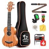 Donner Soprano Ukulele Mahogany 21 inch Ukelele Beginner Kit Online Lesson Gig Bag Strap Nylon String Tuner Picks Cloth DUS-1 Ukalalee Set Christmas Gift