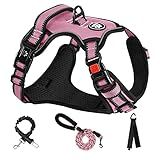 NESTROAD No Pull Dog Harness,Adjustable Oxford Medium Dog Harness with Leash,Reflective No-Choke Pet Vest Harness with Easy Control Soft Handle for Small Medium Large Dogs(M,Pink)