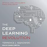 The Deep Learning Revolution