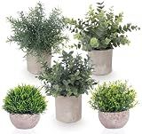 Fake Plants,5 PCS Small Artificial Greenery Eucalyptus Plant Indoor in Pots