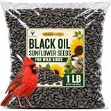 Office Roast Premium Black Sunflower Seeds – 1 LB Value Pack | Natural Wild Bird Seed for Backyard Feeders, High-Energy Food for Songbirds