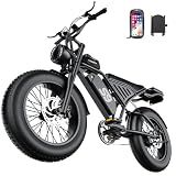 Electric Bike for Adults, 2500W Peak Motor, Up to 36 MPH 65 Miles, 48V 20Ah Removable Battery, 20" Fat Tire Ebike, Color LCD Display, Support Cruise Control, Setting Speed Limit, NFC & Password Unlock