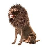 Onmygogo Lion Mane Wig for Dogs with Ears, Funny Pet Costumes for Halloween Christmas (Size L, Coffee)