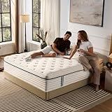 QUILTZEN Queen Mattress 12 Inch, Medium Plush Hybrid Queen Size Mattress with Memory Foam & Individually Wrapped Pocket Coils, Pressure-Relieving Support & Motion-Reducing Design