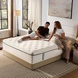 QUILTZEN Queen Mattress 12 Inch, Medium Plush Hybrid Queen Size Mattress with Memory Foam & Individually Wrapped Pocket Coils, Pressure-Relieving Support & Motion-Reducing Design