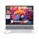 HP Omnibook 16" 2K Touchscreen Laptop, AMD Ryzen AI 7 350, 32GB DDR5 RAM, 1TB SSD, 50 Tops NPU Copilot+, Win11 Pro, Backlit Keyboard, Fatcayes Accessory, Glacier Silver