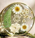 Oqplog Resin Drink Coaster for Desk Coffee Table-White Cute Dried Flowers Cup Coaster for Work Office Home Outdoor Decor Gifts for Girls Women,1 Pcs