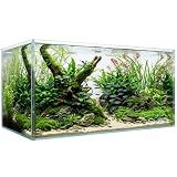 20 Gallon Rectangular Fish Tank, Rimless Ultra Clear Nano Aquarium