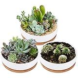Lawei 3 Pack 6 inch Round Succulent Cactus Planter Pots with Drainage Bamboo Tray - Garden Ceramic Flower Planter Pot