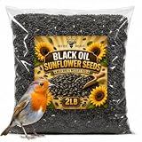 Office Roast Premium Black Sunflower Seeds – | 2 LB Bulk Value Pack | Natural Wild Bird Seed for Backyard Feeders, High-Energy Food for Songbirds