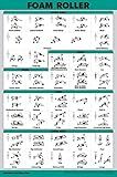 QuickFit Foam Roller Exercise Poster - Stretching and Workout Routine for Foam Roller (Laminated, 18" x 24")