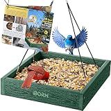 iBorn Platform Bird Feeder Tray, Bird Feeders for Outdoors Hanging, Flat Birdfeeder Tray with Large Capacity 3LBS, WPC Recycled Plastic & Cedar Look, Waterproof, 10.5"x10.5", Green